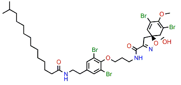 Araplysillin II